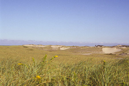 Provincetown Dunes